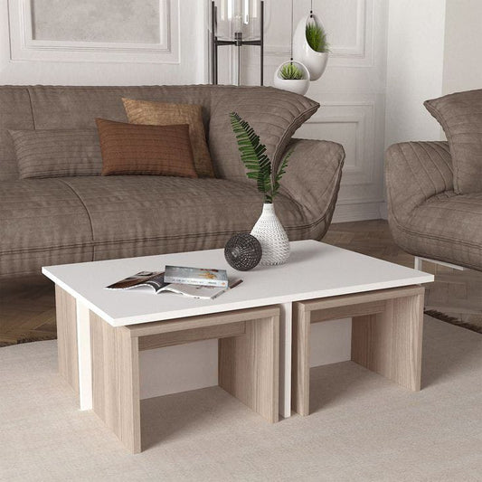 Chic Sleek Coffee Table